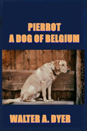 Cover of the book Pierrot, A Dog of Belgium by Stewart Edward White