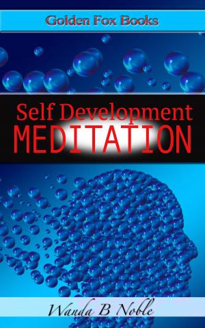 Cover of the book Self Development Meditation by Benjamin Ehinger
