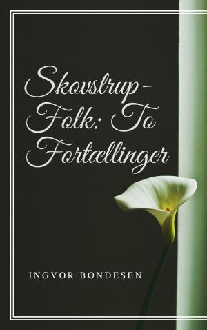 Cover of the book Skovstrup-Folk by Robert Louis Stevenson