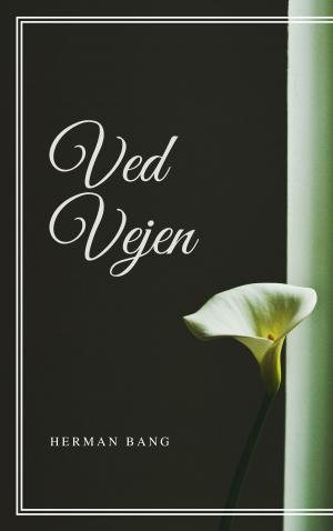 Cover of the book Ved Vejen by John Siwicki