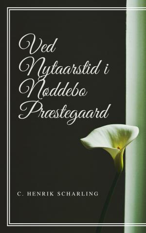 Cover of the book Ved Nytaarstid i Nøddebo Præstegaard by Rebecca Forster