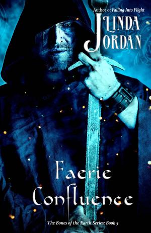 Cover of the book Faerie Confluence by Brian Lee Durfee