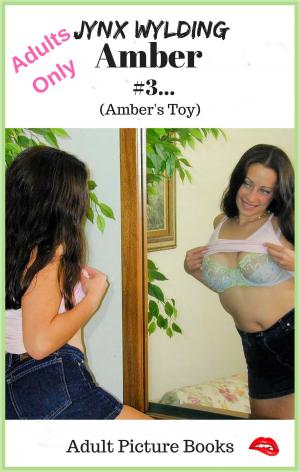 Cover of the book Amber Ambers Toy by Jynx Wylding