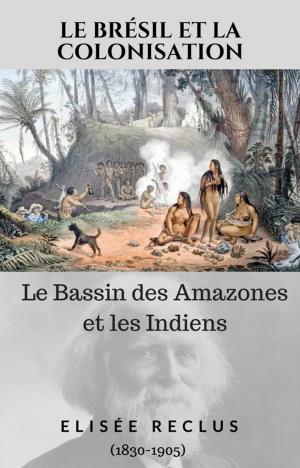 Cover of the book Le Brésil et la Colonisation by Janet Anderson