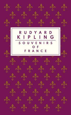 Book cover of Souvenirs of France