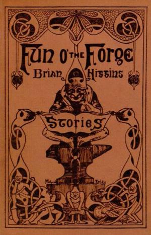 Cover of the book Fun O' the Forge by Harry Castlemon