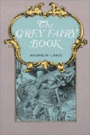bigCover of the book The Grey Fairy Book by 