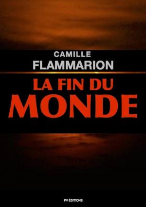Cover of the book La fin du monde by Allan Kardec