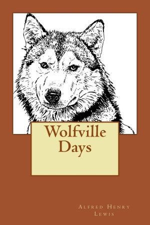 Cover of the book Wolfville Days (Illustrated Edition) by Charles Alden Seltzer