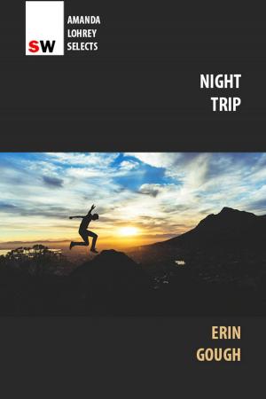 Cover of the book Night Trip by Joanna Atherfold Finn