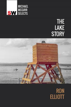 Cover of the book The Lake Story by Jessie Mitchell