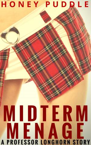 Cover of the book Midterm Menage by Jennifer Grayson