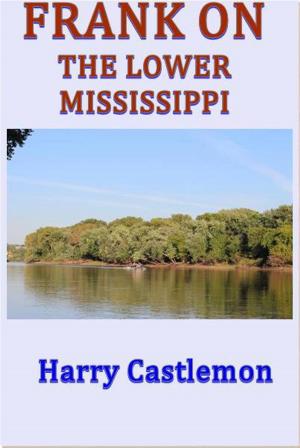 Book cover of Frank on the Lower Mississippi