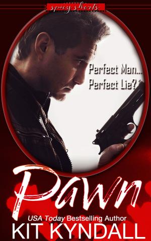 Cover of the book Pawn by Sierra Hill