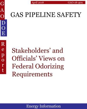 Book cover of GAS PIPELINE SAFETY