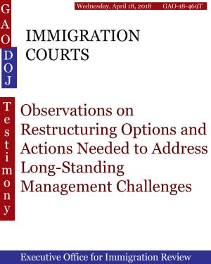 Book cover of IMMIGRATION COURTS