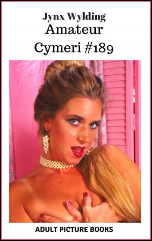 bigCover of the book Amateur Cymeri by 