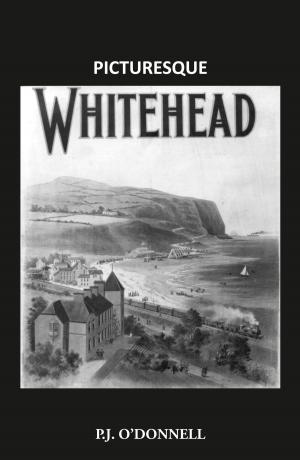 Cover of the book Picturesque Whitehead by Frankie Wainman Junior