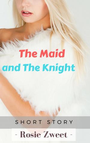 Book cover of Older Man: The Maid and the Knight