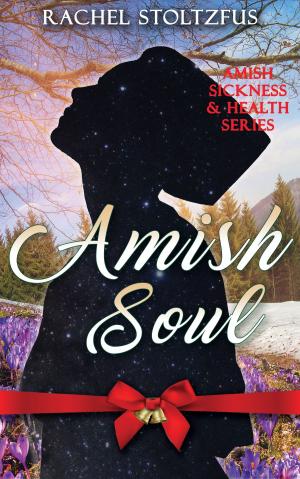 Cover of the book Amish Soul by 王 穆提