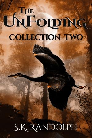 Cover of the book The UnFolding Collection Two by Kevin Higgins