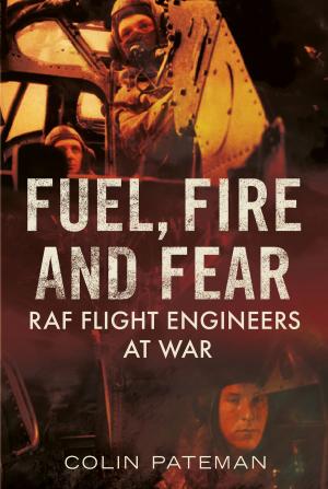 Cover of the book Fuel Fire And Fear by Neil Thornton