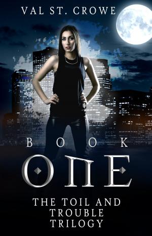 Cover of the book The Toil and Trouble Trilogy, Book One by Jessica Dale