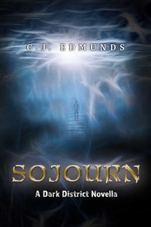 Cover of the book Sojourn by Anitra Lynn McLeod