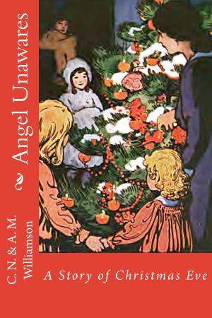 Cover of the book Angel Unawares (Illustrated Edition) by M. H. Donoho