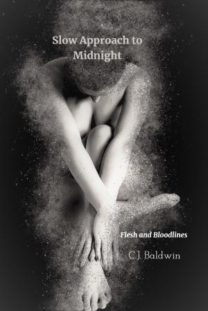 Cover of the book Slow Approach to Midnight by Annie Anderson