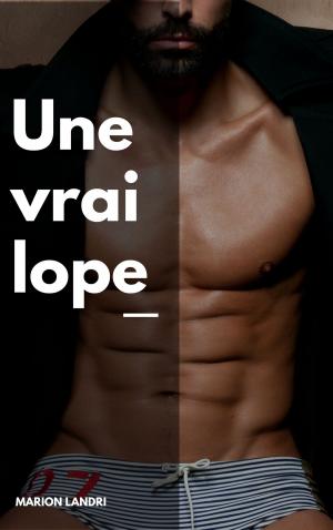 Book cover of Une vraie lope