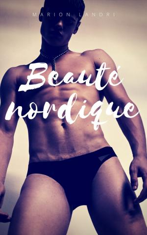 Cover of the book Beauté nordique by Mickael Lecomte