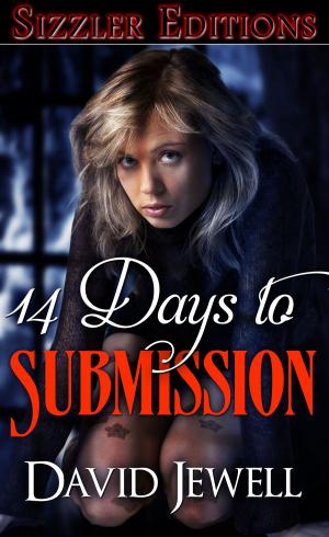 Cover of the book 14 Days to Submission by Terri Pray