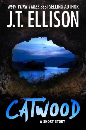 bigCover of the book Catwood by 