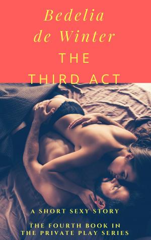 Cover of the book The Third Act by Jamie Hadley