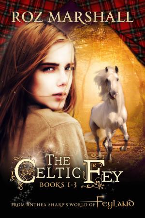 Cover of the book The Celtic Fey by Roz Marshall