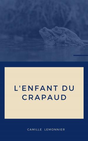 Book cover of L'enfant du crapaud