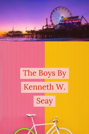 Cover of the book The Boys by K. A. Cook