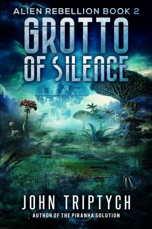 Cover of the book Grotto of Silence by Olivia White