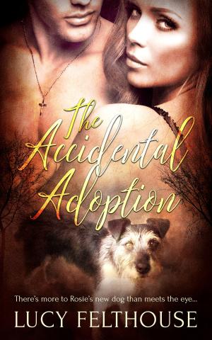 Book cover of The Accidental Adoption