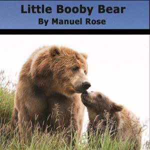 Book cover of Little Booby Bear - A Children's Book