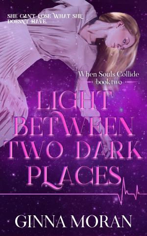 Cover of the book Light Between Two Dark Places by M.J. Perry