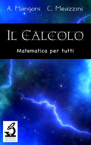 Cover of the book Il calcolo: Matematica per tutti by Alessio Mangoni
