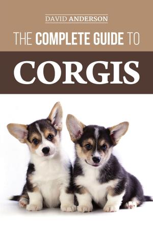 Book cover of The Complete Guide to Corgis