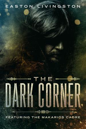 Book cover of The Dark Corner
