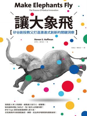 Book cover of 讓大象飛：矽谷創投教父打造激進式創新的關鍵洞察