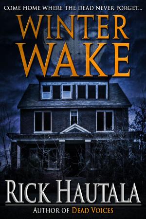 Cover of the book Winter Wake by C. T. Phipps
