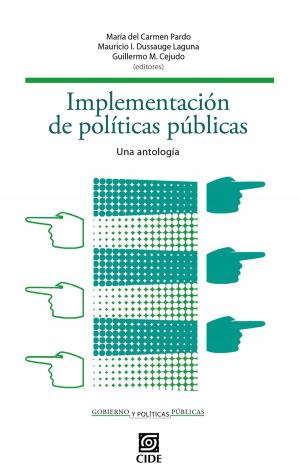 Cover of the book Implementación de políticas públicas: by Mariana Magaldi de Sousa, Claudia Maldonado Trujillo