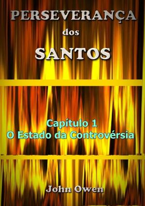 Cover of the book Perseverança Dos Santos by Ernesto Luis De Brito