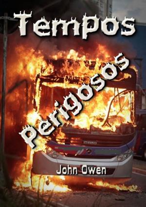 Cover of the book Tempos Perigosos by Eliel Roshveder